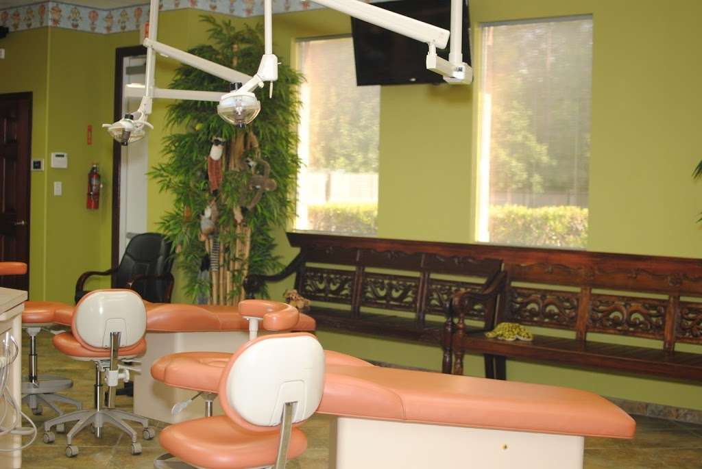 Lake Houston Pediatric Dentistry | 20035 W Lake Houston Pkwy #600, Kingwood, TX 77346, USA | Phone: (281) 852-3777