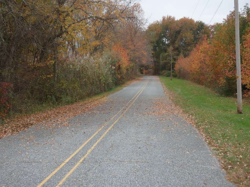 Cohansey River Wildlife Management Area | Bridgeton, NJ 08302, USA