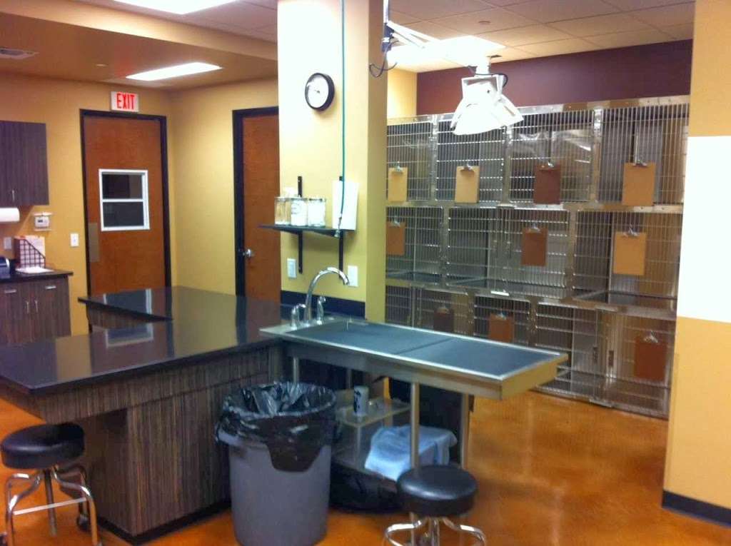 Squaw Peak Animal Hospital | 3165 E Lincoln Dr # 115, Phoenix, AZ 85016, USA | Phone: (602) 553-8855