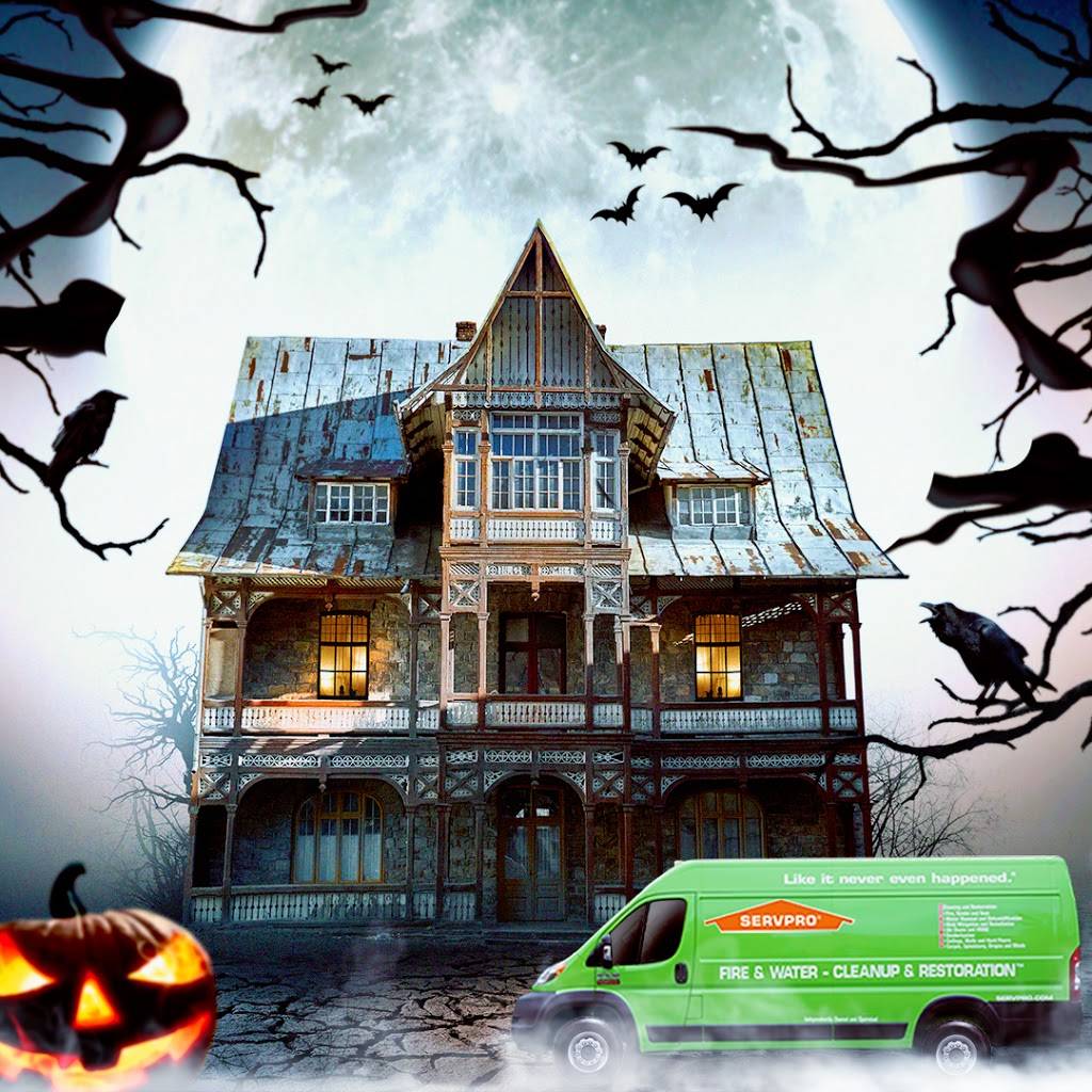 Servpro of Buffalo / Tonawanda | 57 Windsong Ct #101, East Amherst, NY 14051, USA | Phone: (716) 694-9949