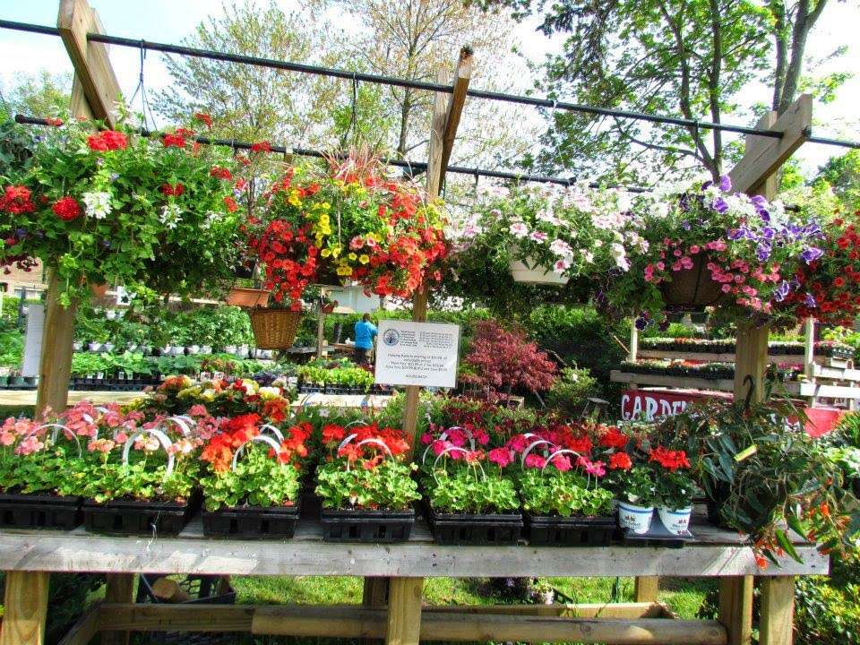 Greenwood Lake Garden and Farm Market | 1197 NY-17A, Greenwood Lake, NY 10925, USA | Phone: (845) 595-1579