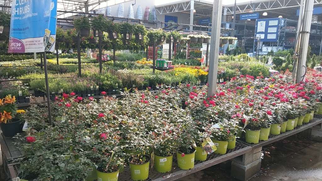 Lowes Garden Center | 3421 Horizon Blvd, Trevose, PA 19053, USA | Phone: (215) 485-4200