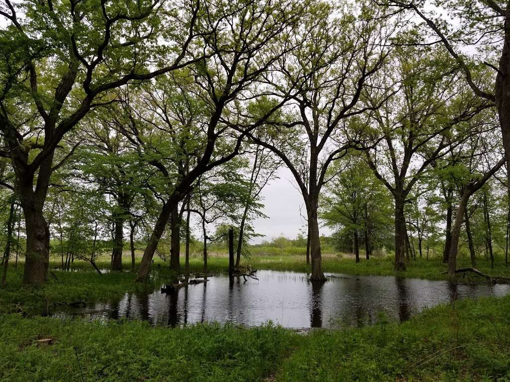 McKee Marsh at Blackwell Forest Peserve | Mack Rd, Warrenville, IL 60555, USA