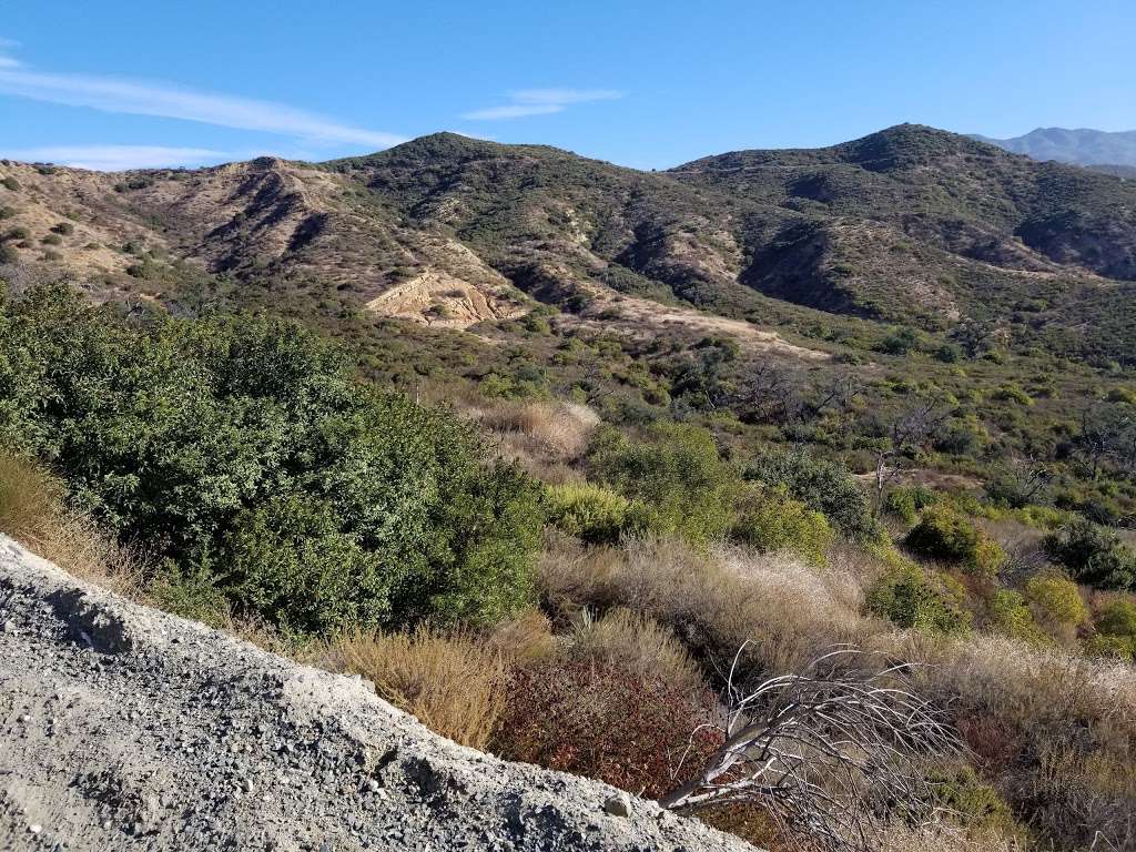 The Luge Mountain Biking Trails | 28012 Modjeska Grade Rd, Silverado, CA 92676, USA