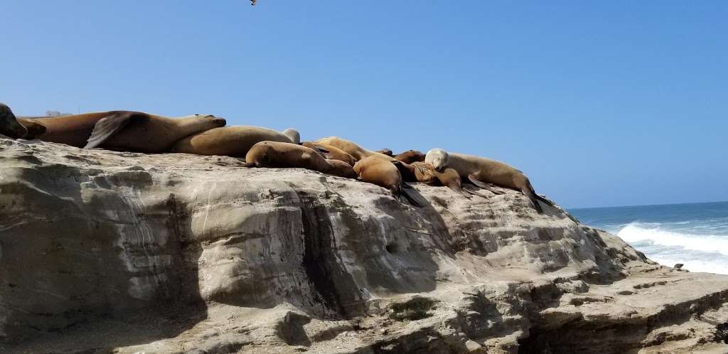 South Boundary Of Matlahuayl MPA | 1160 Coast Blvd, La Jolla, CA 92037, USA