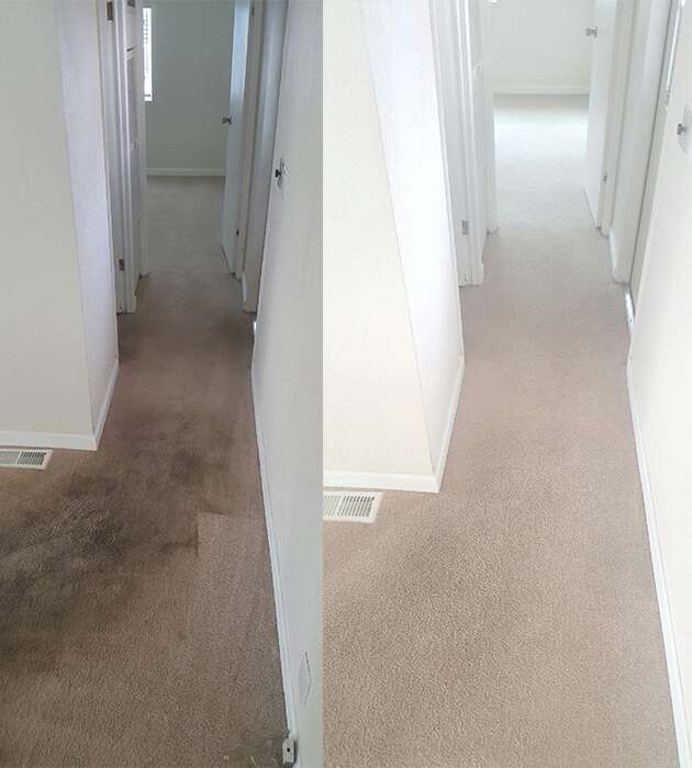 Genesis Carpet Cleaning | 925 Vegas Valley Dr, Las Vegas, NV 89109 | Phone: (702) 879-9551