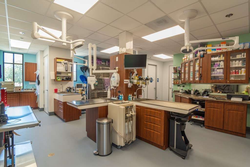 Santaluz Animal Care | 14677 Via Bettona Suite 105, San Diego, CA 92127, USA | Phone: (858) 258-5590