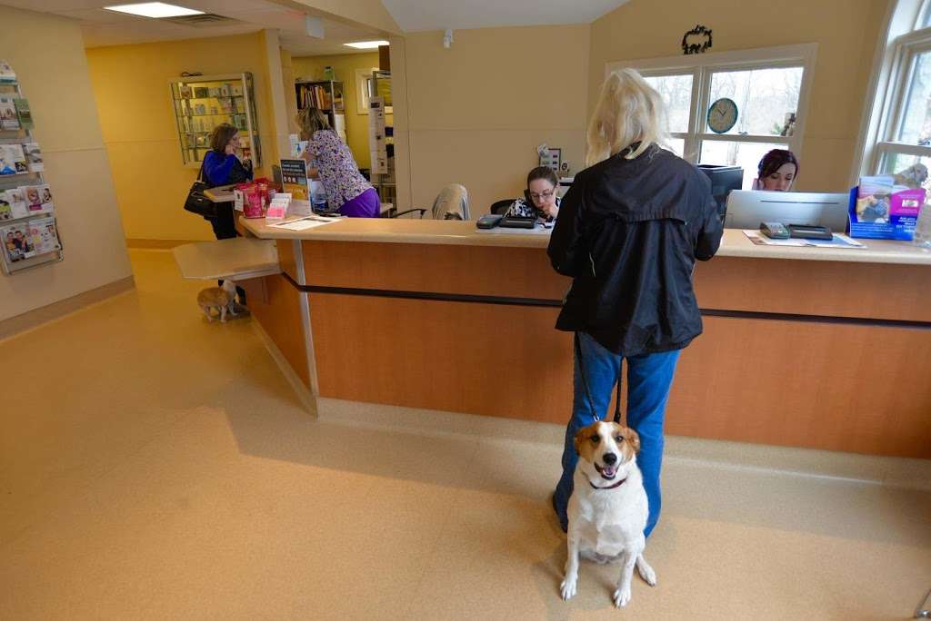 Archer Veterinary Clinic | 13731 S Archer Ave, Lemont, IL 60439, USA | Phone: (630) 257-5121