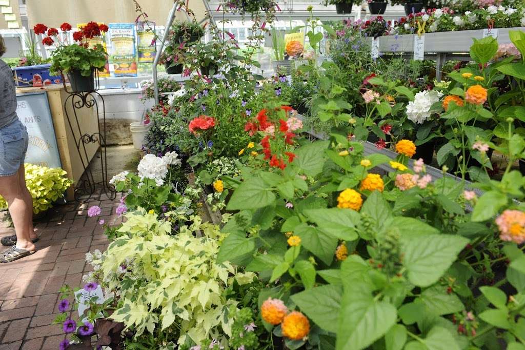 Abernethy & Spencer Greenhouse and Garden Center | 18035 Lincoln Rd, Purcellville, VA 20132 | Phone: (540) 338-9118