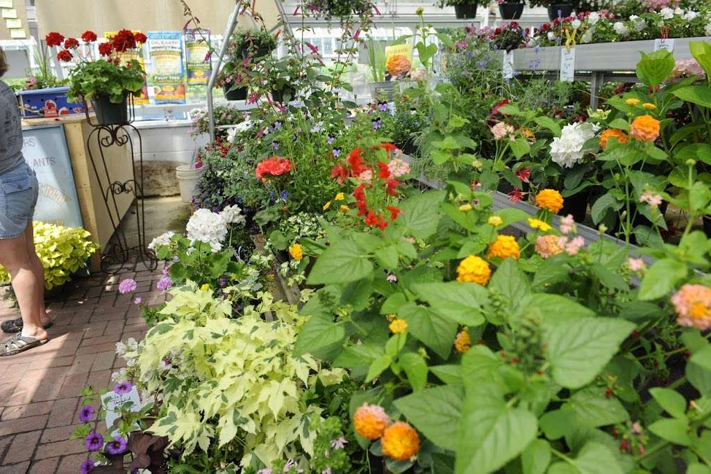 Abernethy & Spencer Greenhouse and Garden Center | 18035 Lincoln Rd, Purcellville, VA 20132, USA | Phone: (540) 338-9118