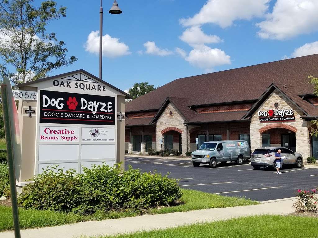 Dog Dayze- Doggie Daycare & Boarding | 570 W Boughton Rd, Bolingbrook, IL 60440, USA | Phone: (630) 366-6006