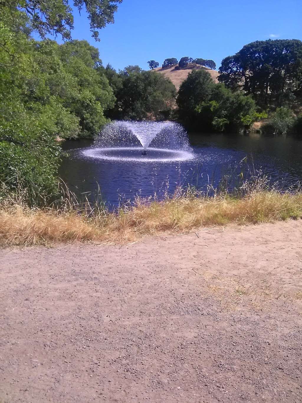 Martinez Park Reserve | 1998 Eagle Lake Ct, Martinez, CA 94553, USA