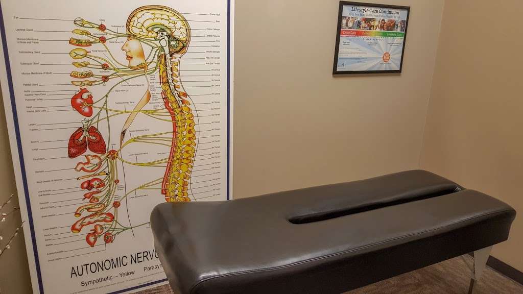 Belmar Chiropractic | 1057 S Wadsworth Blvd #40, Lakewood, CO 80226 | Phone: (303) 233-1236