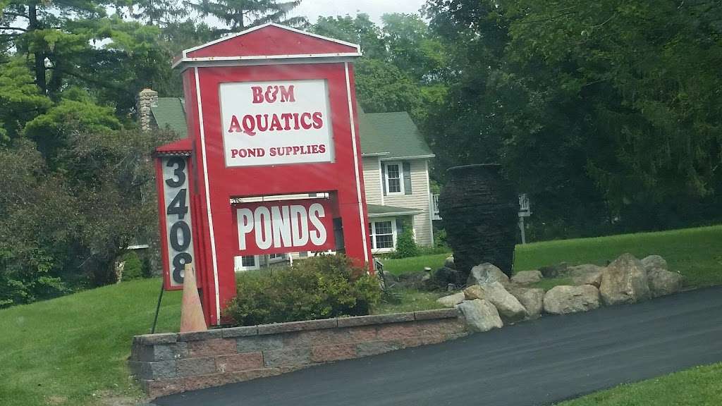 B & M Aquatic Gardens & Koi | 3408 NJ-94, Hamburg, NJ 07419 | Phone: (973) 209-1185