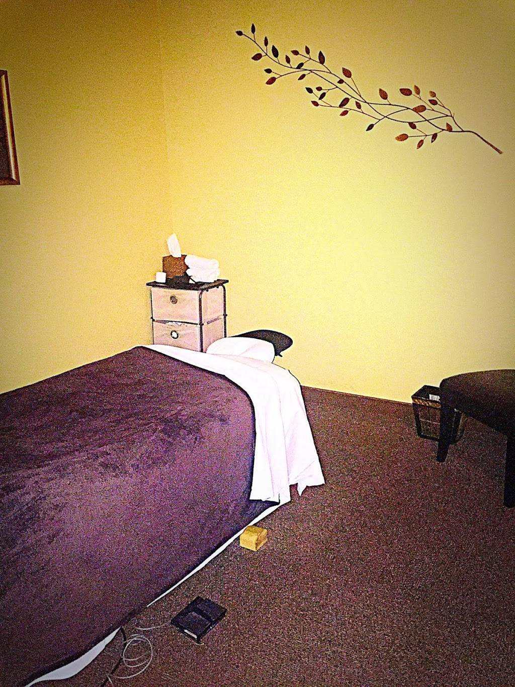 Elements Massage | 3065 S Bown Way, Boise, ID 83706, USA | Phone: (208) 331-9900