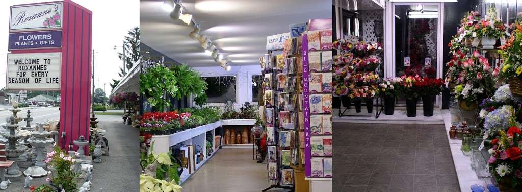 Roxannes Flowers | 328 S 7th St, Akron, PA 17501, USA | Phone: (717) 859-1700