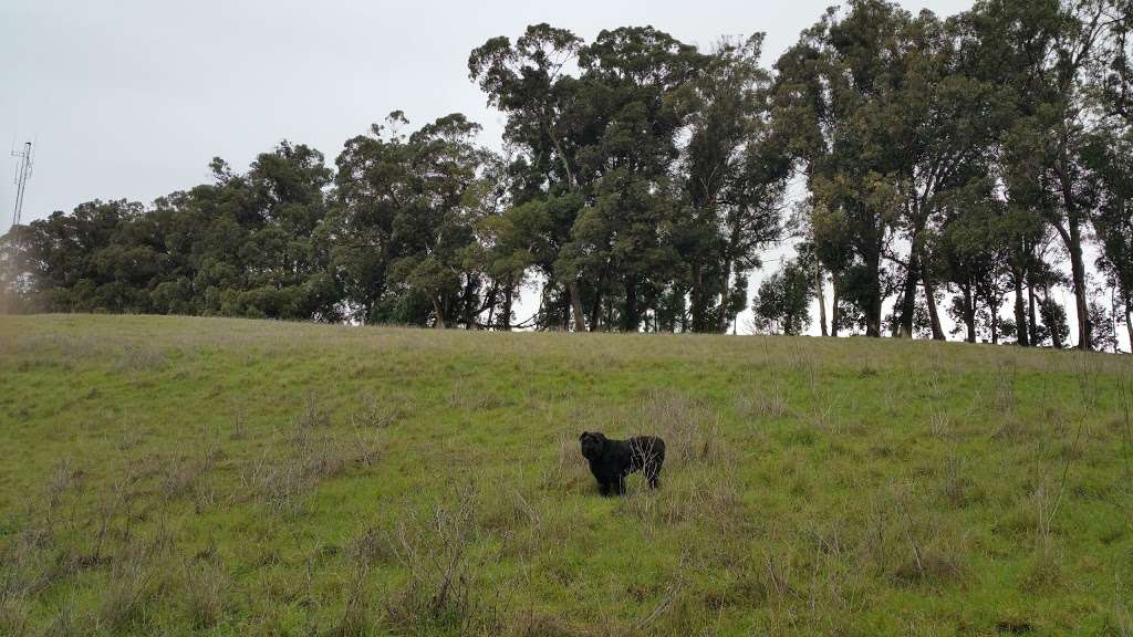 Alameda County Childrens Memorial Flag and Grove Project | Lake Chabot Rd, Castro Valley, CA 94546