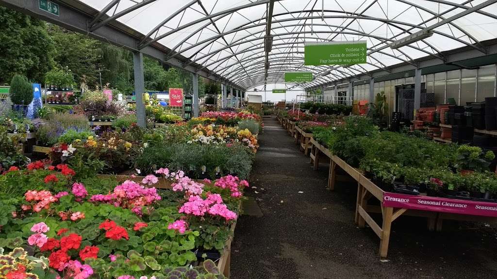 Dorking, a Wyevale Garden Centre | A25 Reigate Rd, Brockham, Dorking RH4 1NP, UK | Phone: 0844 288 5132