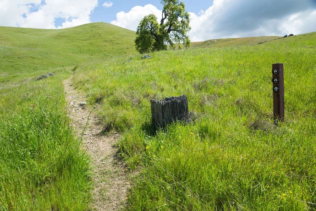 Eagles Eyrie Backpack Camp | Sunol, CA 94586, USA