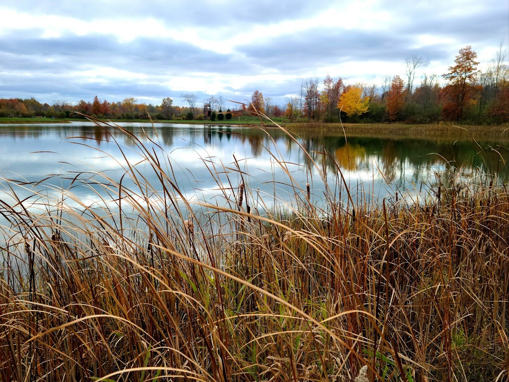 Branches of Niagara Campground & Resort | 2659 Whitehaven Rd, Grand Island, NY 14072 | Phone: (716) 773-7600