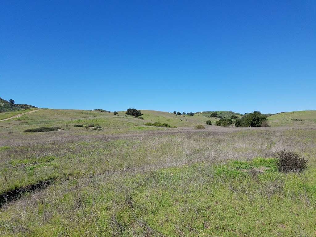 Thomas F. Riley Wilderness Park | 30952 Oso Pkwy, Coto De Caza, CA 92679, USA | Phone: (949) 923-2265