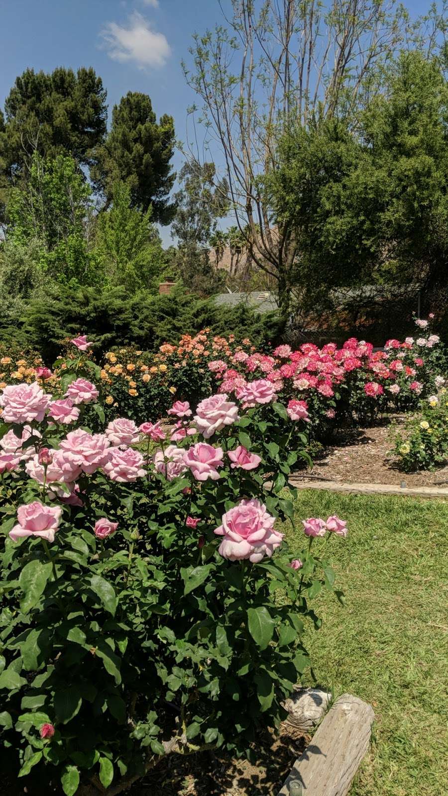 UC Riverside Botanic Gardens | 1 Botanic Gardens Drive, Riverside, CA 92507, USA | Phone: (951) 784-6962