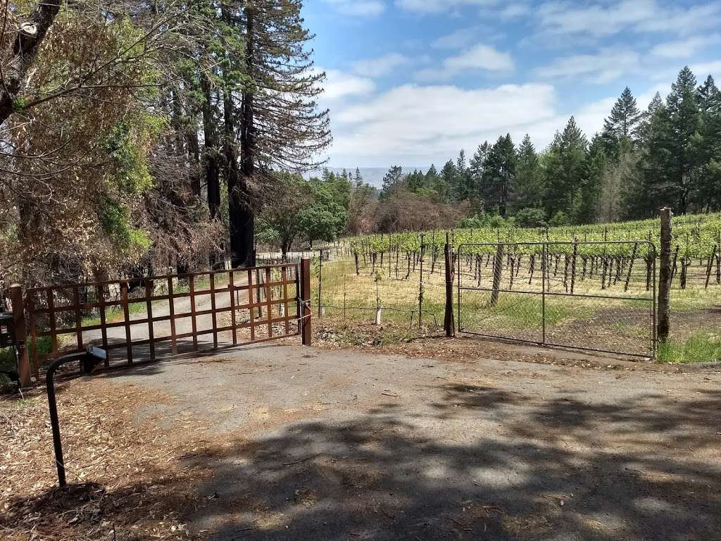 The Wine RayZyn Company, LLC | 3390 Mt Veeder Rd, Napa, CA 94558 | Phone: (707) 251-1600