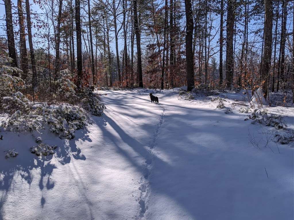 Wildcat Falls Conservation Area | Merrimack, NH 03054, USA | Phone: (603) 882-1046