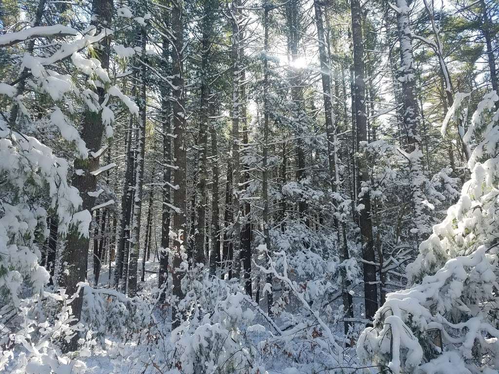 Trout Farm Conservation Land | Duxbury, MA 02332, USA