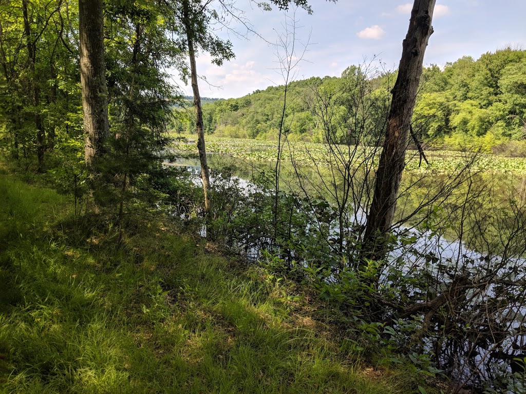Schuylkill River Trail | 4 1st St, Schuylkill Haven, PA 17972, USA