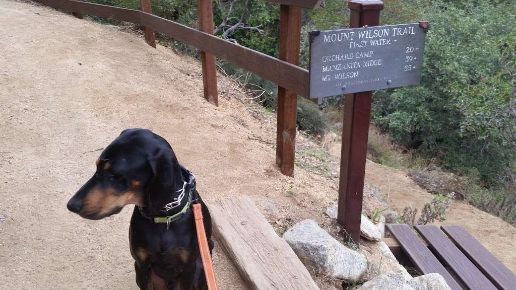 First Water, Mt. Wilson Trail | Mt Wilson Trail, Sierra Madre, CA 91024, USA