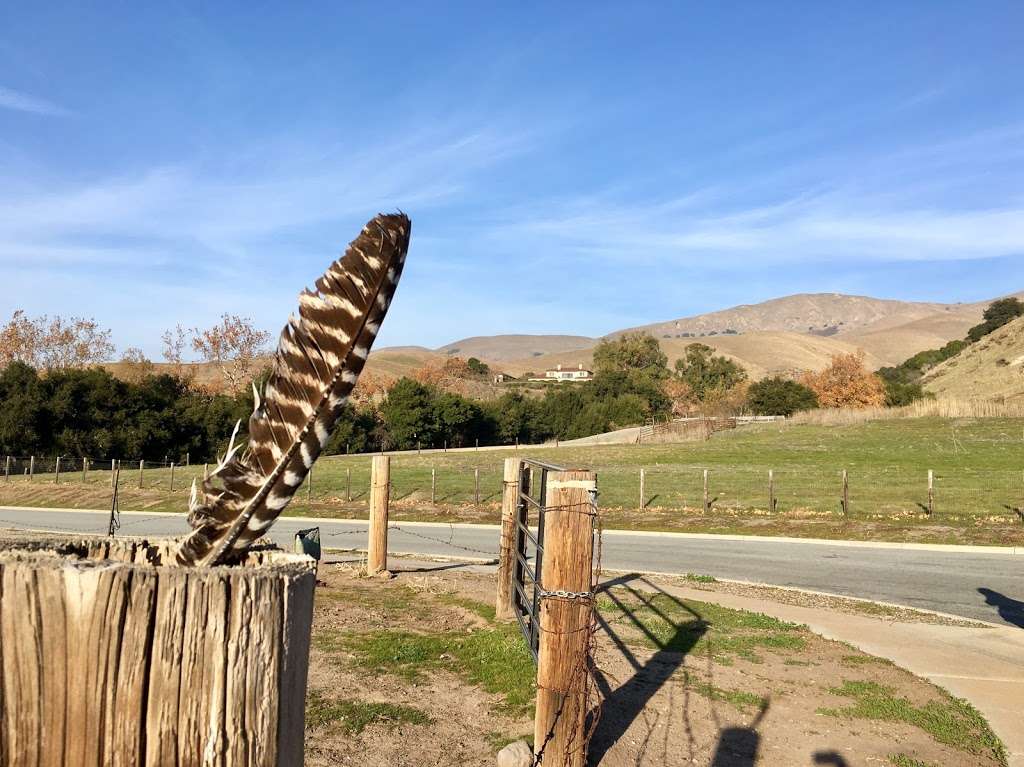 Rancho Higuera Historical Park | 47300 Rancho Higuera Rd, Fremont, CA 94539 | Phone: (510) 494-4300