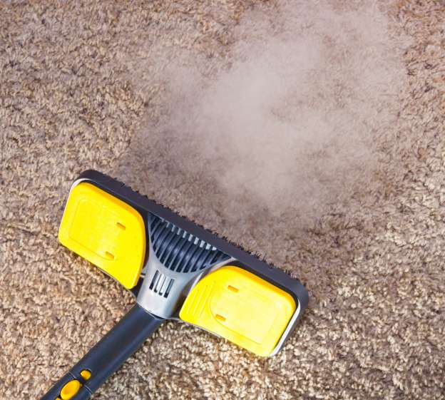 Speedkleen Carpet & Floor Cleaning - Cleaning service, Carpet Cl | 26 S Locust St, Aurora, IL 60506, USA | Phone: (847) 630-4246