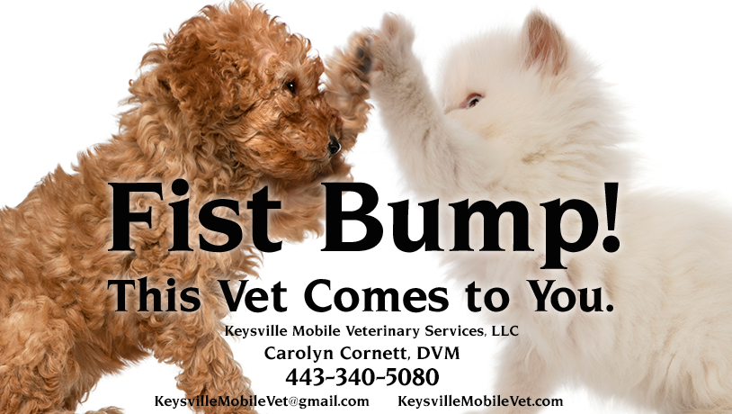 Keysville Mobile Veterinary Services LLC | 7107 Keysville Rd, Keymar, MD 21757, USA | Phone: (443) 340-5080