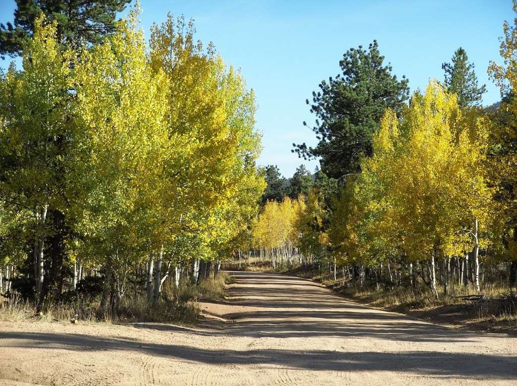 Slaughterhouse Trail Head | Bailey, CO 80421, USA