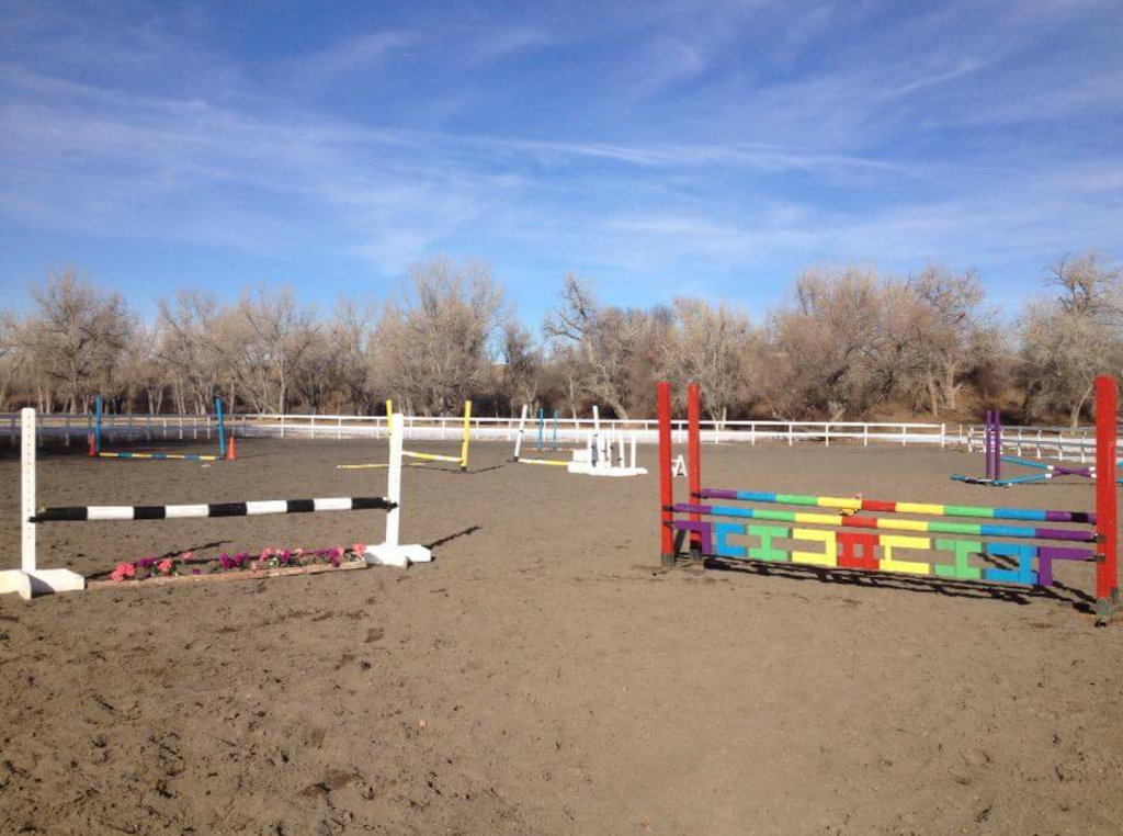 Millbrook Equestrian - Horseback Riding Lessons | 40273 Co Rd 13, Elizabeth, CO 80107, USA | Phone: (303) 898-3376