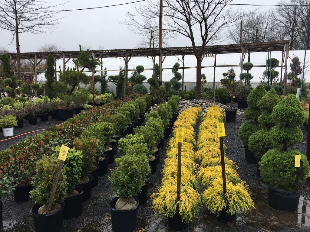 Spring House Nursery Inc | 1224 N Bethlehem Pike, Lower Gwynedd Township, PA 19002, USA | Phone: (215) 646-2495