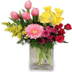 FLOWERS FOR THE FOUR SEASONS | 17165 Dahlgren Rd, King George, VA 22485 | Phone: (804) 224-9020
