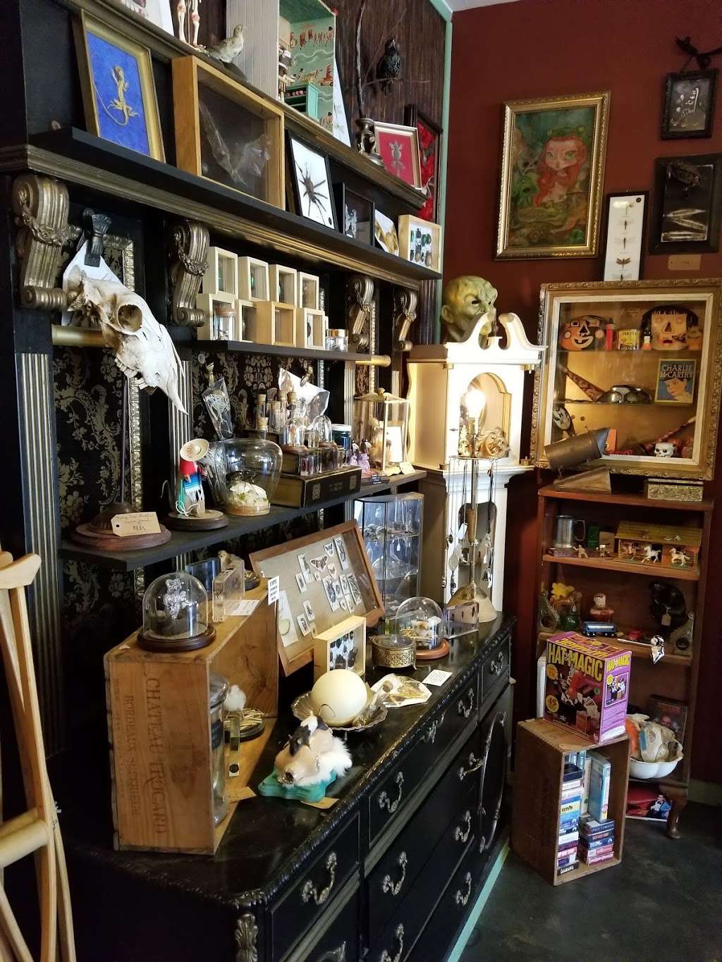 Bearded Lady Vintage & Oddities | 3202 W Magnolia Blvd, Burbank, CA 91505, USA | Phone: (818) 433-7530