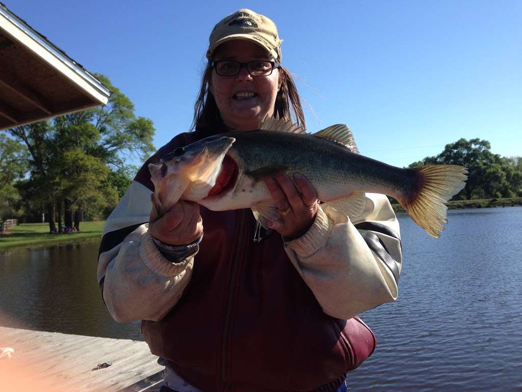 Sturm Fish Hatchery & Bait Farm | 4913 Hwy 36 South, Sealy, TX 77474, USA | Phone: (713) 894-7653