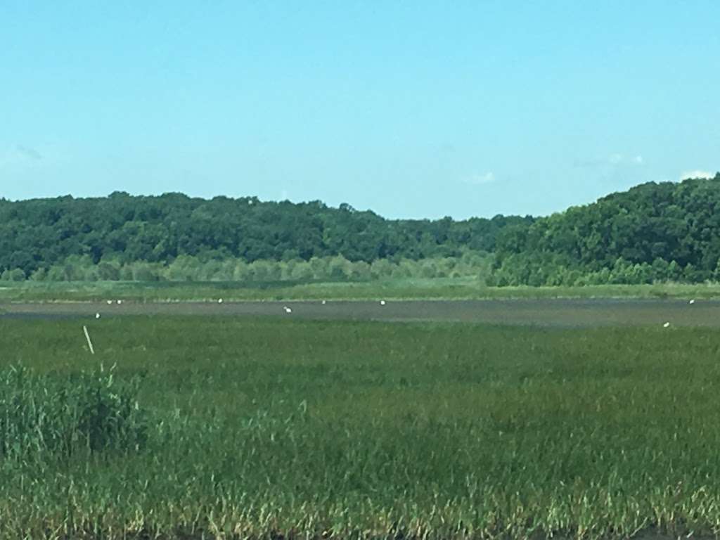 Woodland Beach State Wildlife Management Area | Smyrna, DE 19977, USA