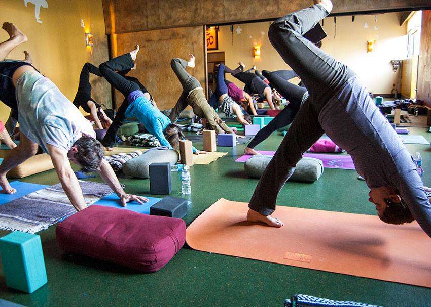 Thrive Yoga | 1321 Rockville Pike # B, Rockville, MD 20852, USA | Phone: (301) 294-9642