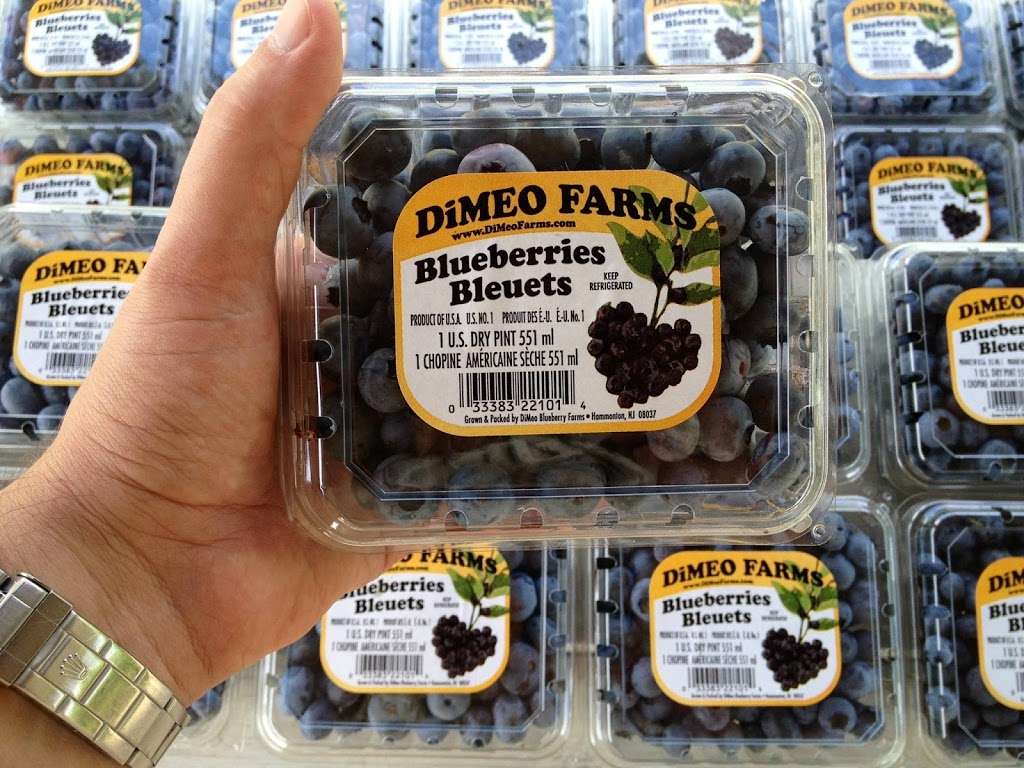 DiMeo Blueberry Farms & Blueberry Plants Nursery | 3101 Nesco Rd, Hammonton, NJ 08037, USA | Phone: (609) 561-5905