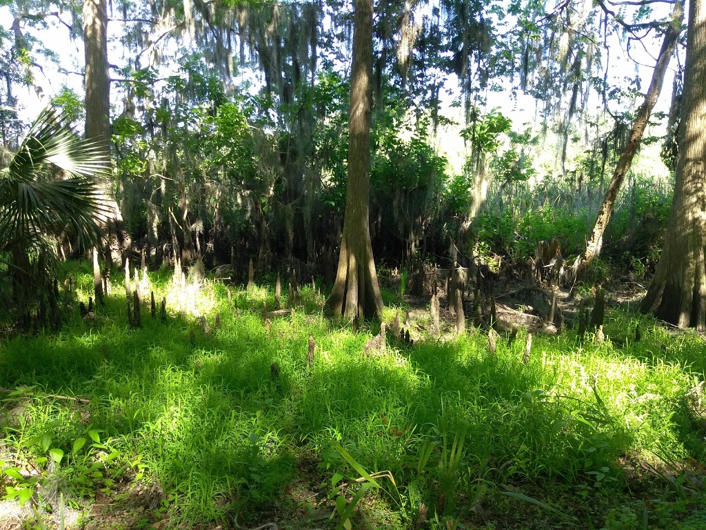 Hontoon Island State Park | 2309 River Ridge Rd, DeLand, FL 32720, USA | Phone: (386) 736-5309