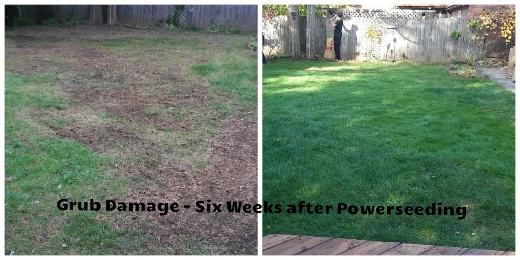 Lawn Doctor of Batavia-Aurora | 1485 Louis Bork Dr #111, Batavia, IL 60510 | Phone: (630) 406-8535