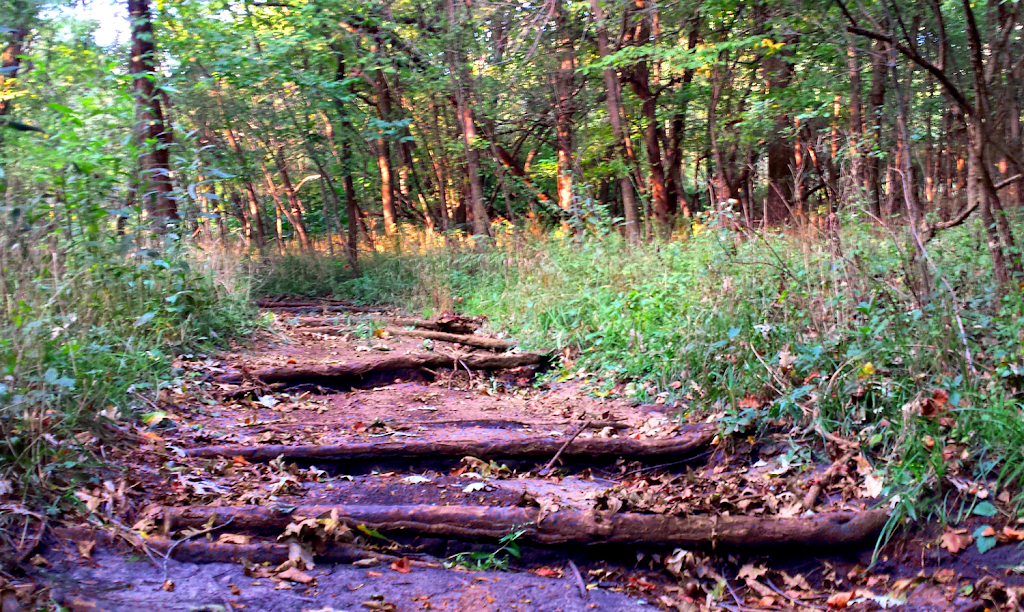 Wood Ridge Park | Kansas City, MO 64118, USA