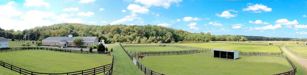 New Jersey Equine Clinic | 279 Millstone Rd, Millstone, NJ 08535, USA | Phone: (732) 786-0662