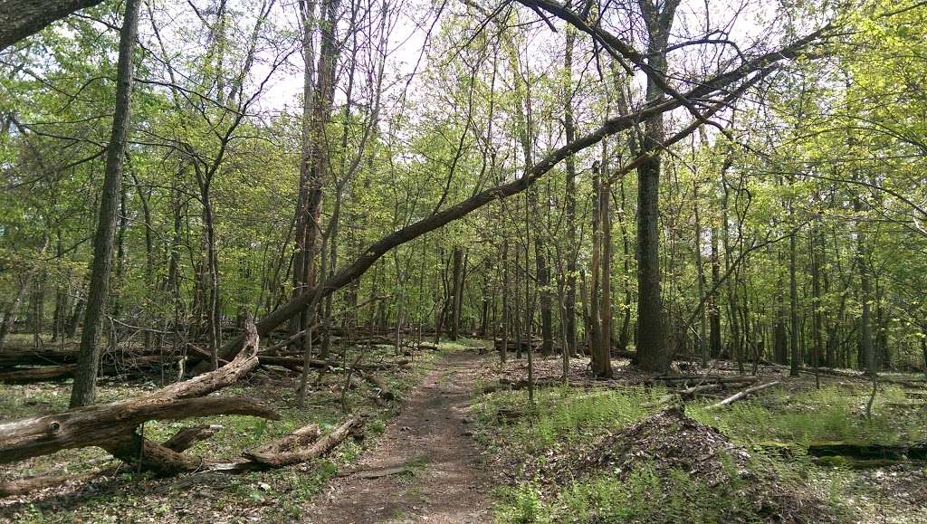 Appalachian Trail | Appalachian Trail, Myersville, MD 21773, USA