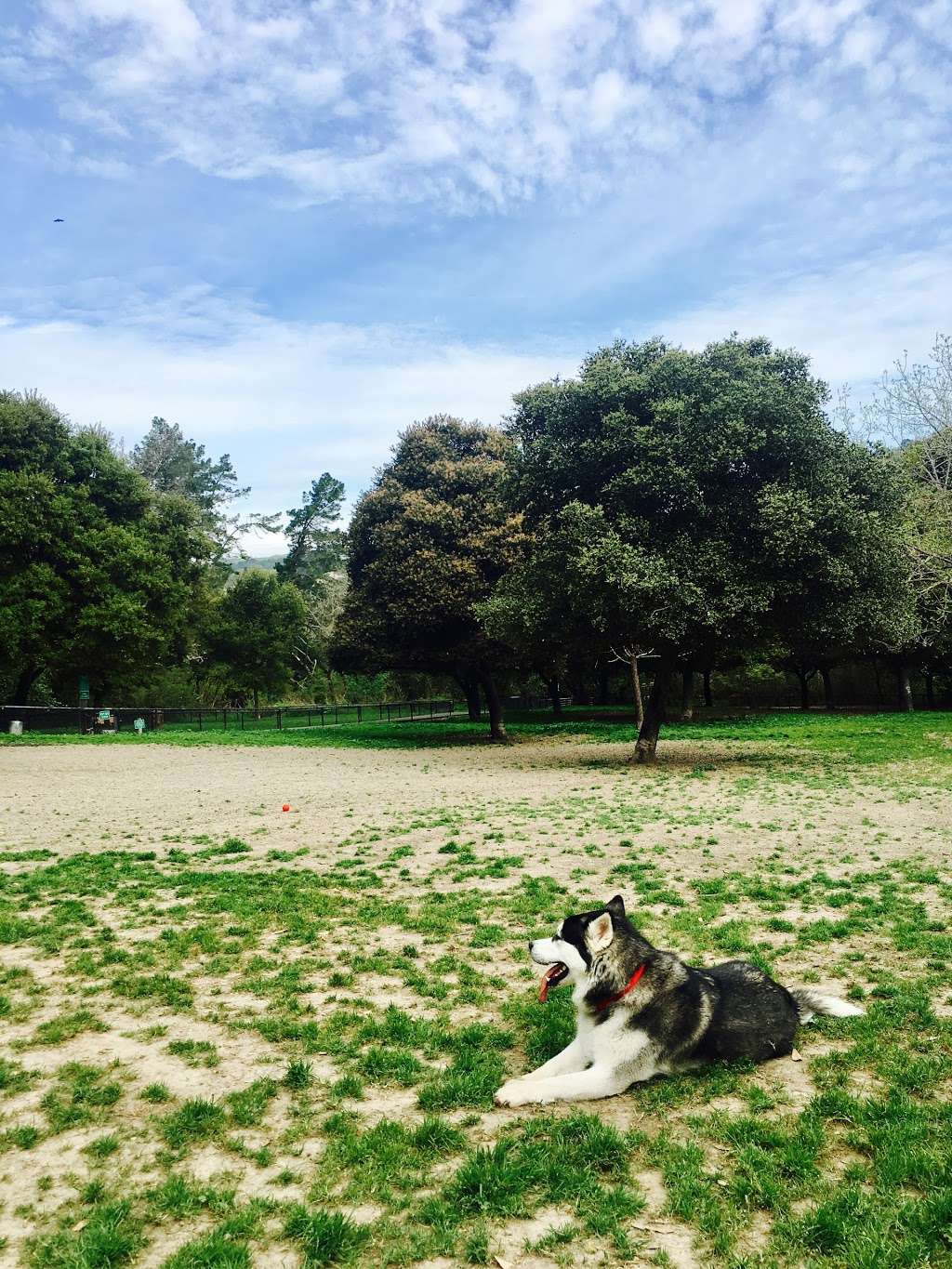 Pinole Dog Park | 1263 Adobe Rd, Pinole, CA 94564