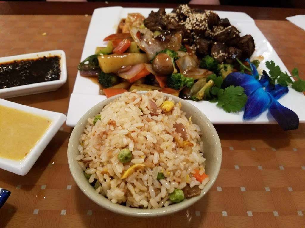 New Asian Bistro | 45 Plaza Drive Unit #600, Walmart Plaza, Tamaqua, PA 18252, USA | Phone: (570) 728-0189